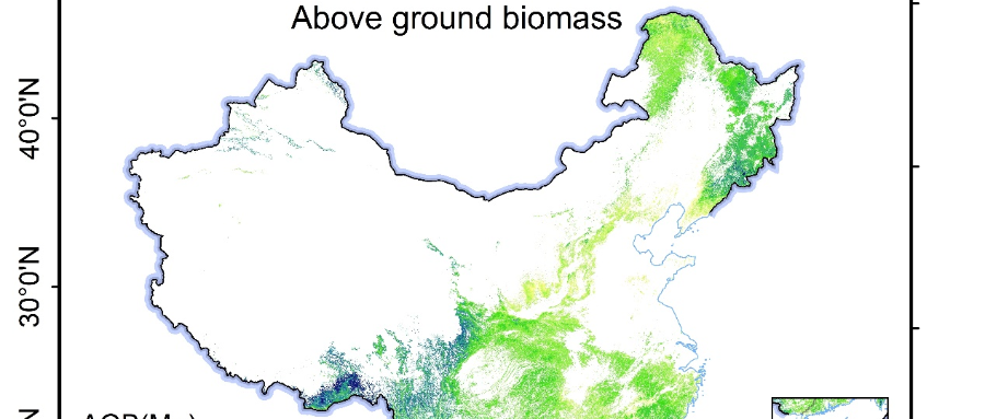 2019年中国森林地上生物量空间分布数据集在国家生态科学数据中心发布