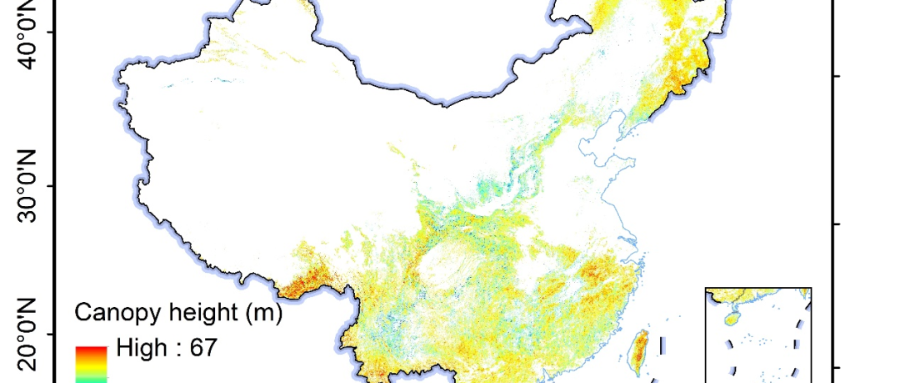 国家生态科学数据中心发布2019年中国森林冠层高度空间分布数据集