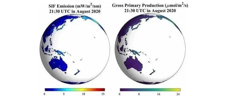 2000-2022年基于卫星日光诱导叶绿素荧光的全球逐时总初级生产力数据集和全球逐时冠层总激发SIF数据集发布