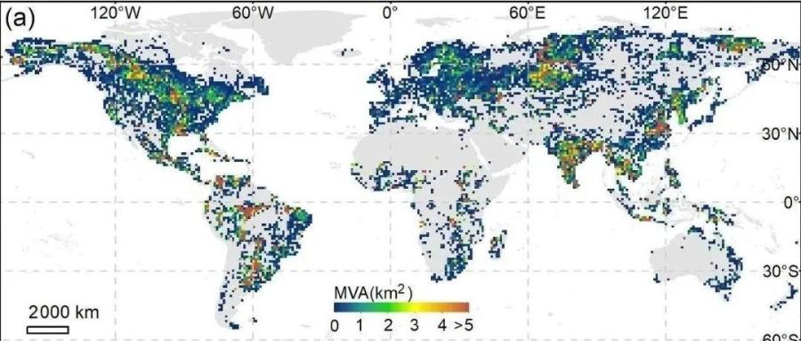 中国科学院南京地理与湖泊研究所科学数据中心发布首个全球湖泊水生植被数据集（2019-2022年