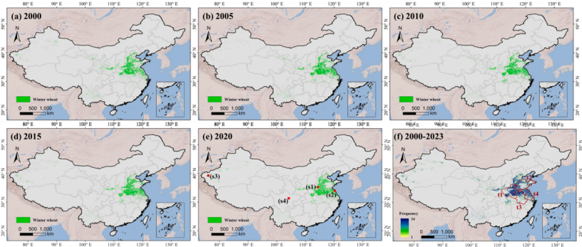 国家生态科学数据中心发布30米空间分辨率长时序中国冬小麦空间分布数据集