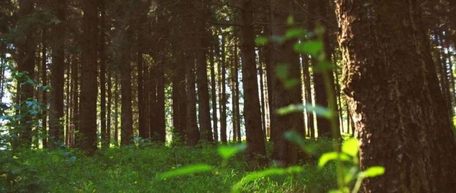 国家生态科学数据中心在生态系统评估模型的发展和应用方面取得系列进展