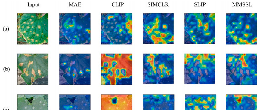 国家基础学科公共科学数据中心“图像理解机器学习数据库”助力多模态数据内容协同理解研究