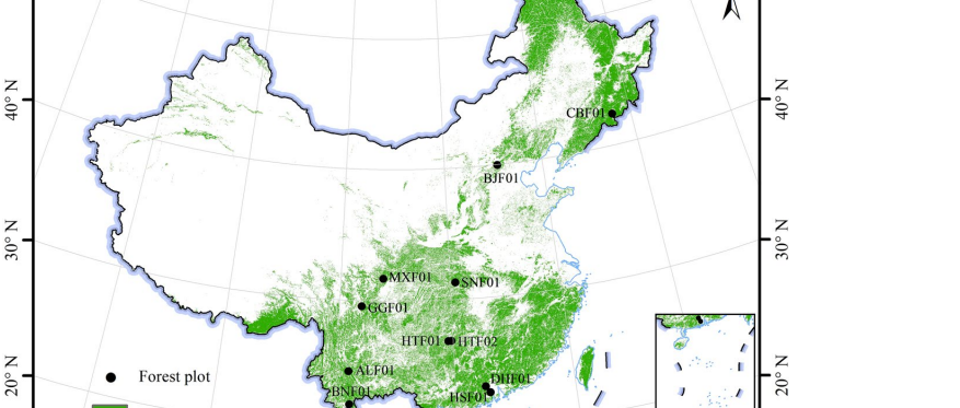 2005-2020年中国森林叶片碳氮磷浓度数据集在国家生态科学数据中心发布