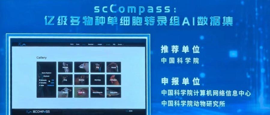 scCompass：亿级多物种单细胞转录组AI数据集入选国家数据局“高质量数据集典型案例”